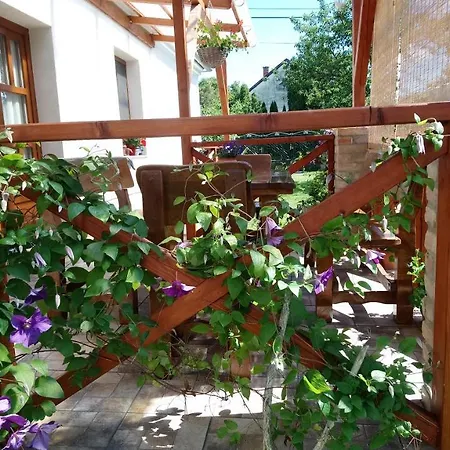 公寓 Oeregporta Vendeghaz *