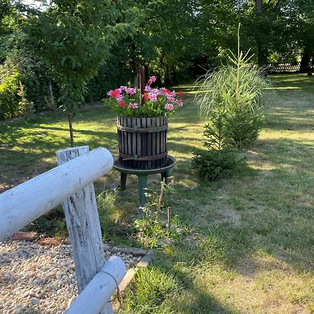 öregporta Apartamento Bazsi