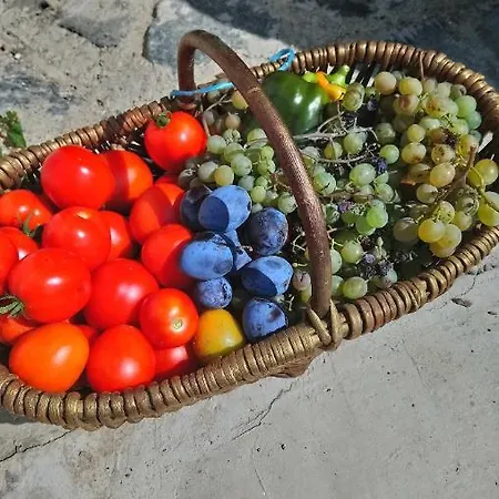 公寓 Oeregporta Vendeghaz Bazsi